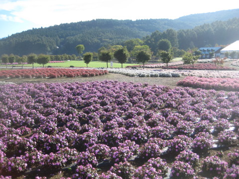 2014/09/21の写真