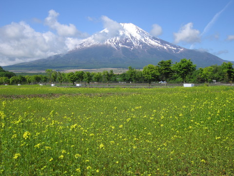 2008/06/01の写真
